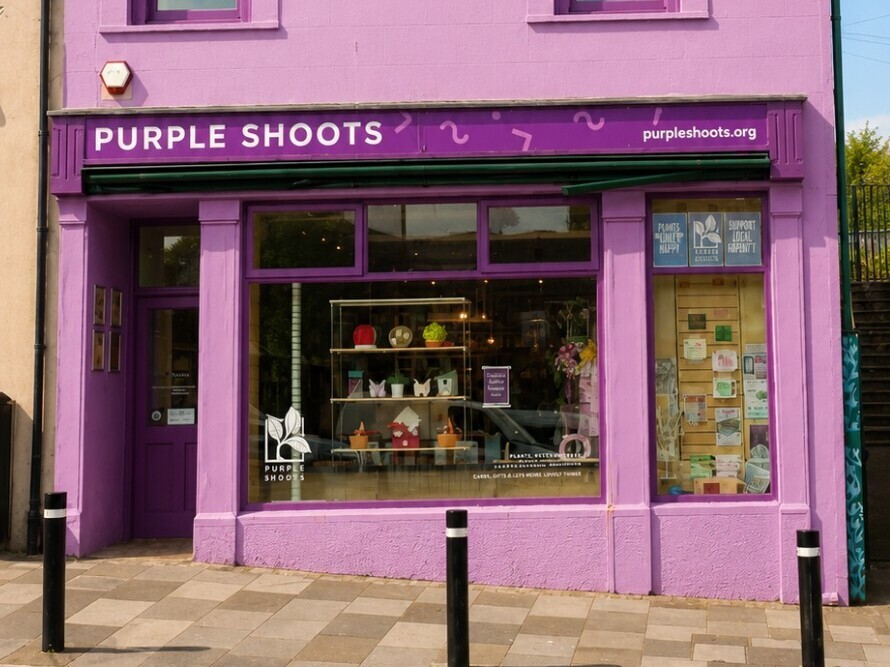 Purple Shoots in Pontypridd